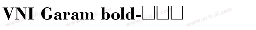 VNI Garam bold字体转换